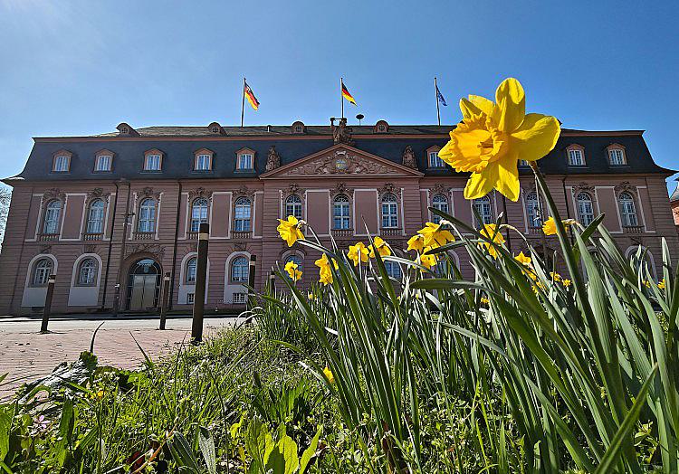 via dts Nachrichtenagentur