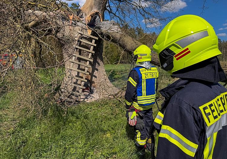 Marcel Neumann via dts Nachrichtenagentur