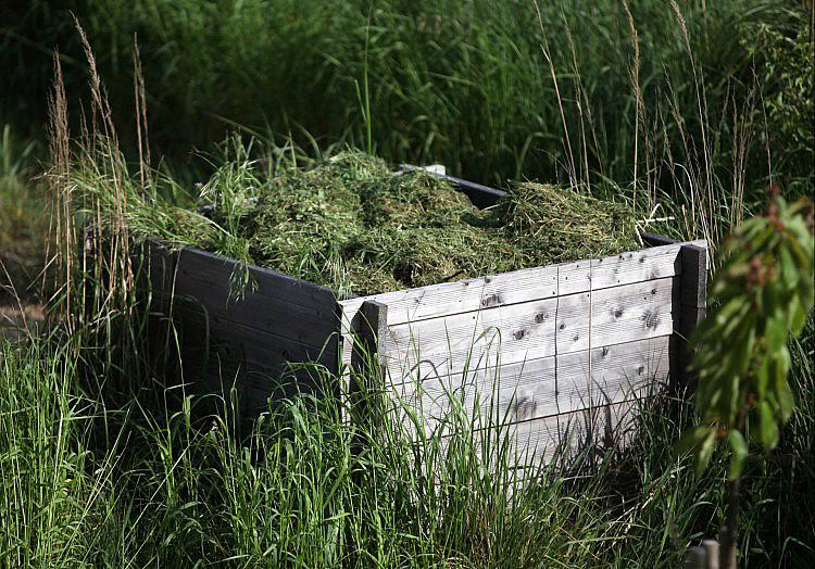 via dts Nachrichtenagentur