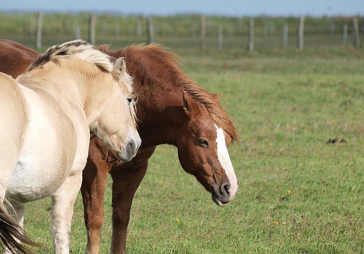 via dts Nachrichtenagentur