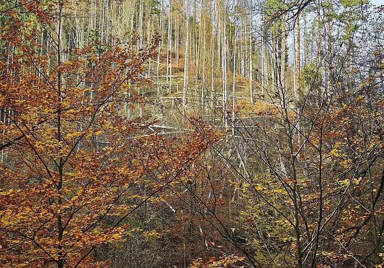 via dts Nachrichtenagentur