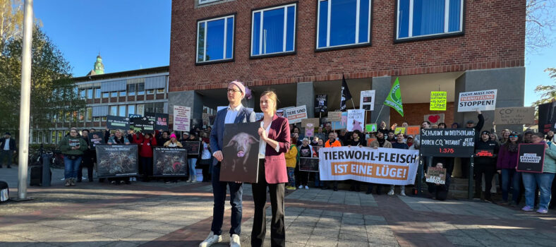 Demonstration vor dem Schlachthofprozess in Oldenburg.