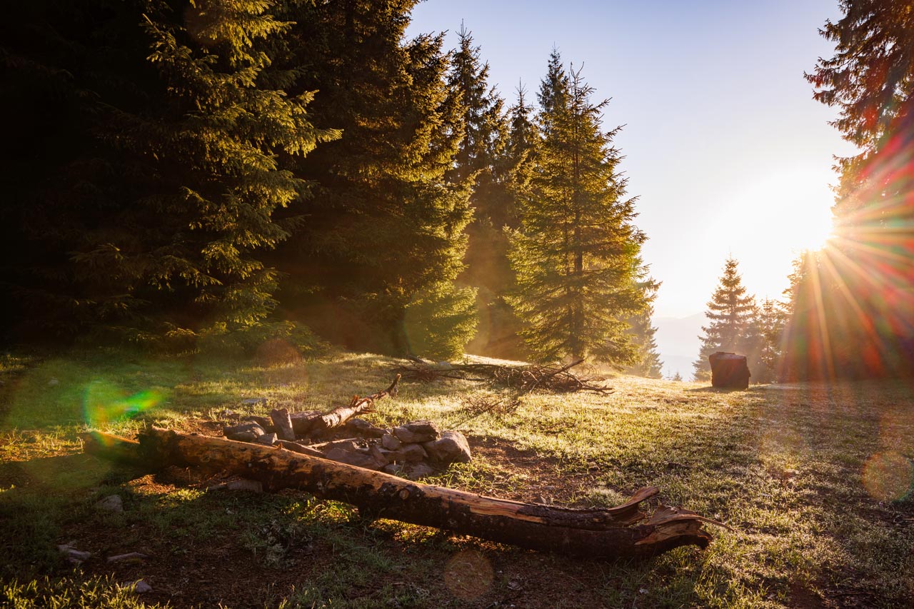 Der Edersee ist mehr als nur ein Gewässer; er ist eine smaragdgrüne Fjordlandschaft im Herzen Deutschlands.