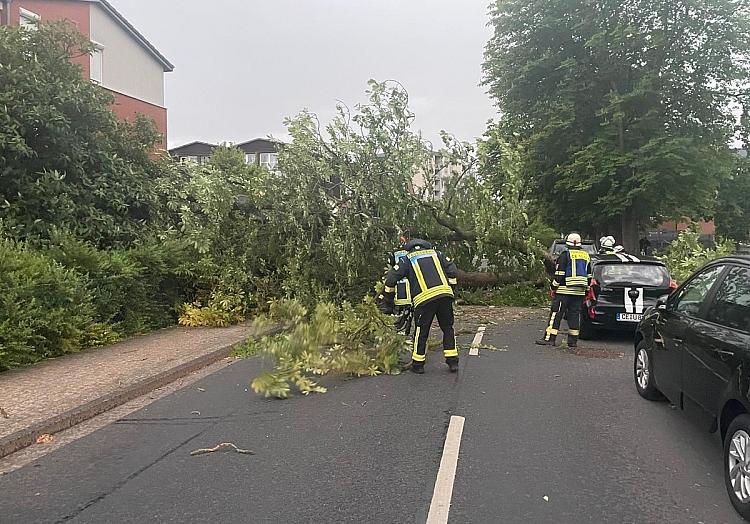 Feuerwehr Celle via dts Nachrichtenagentur