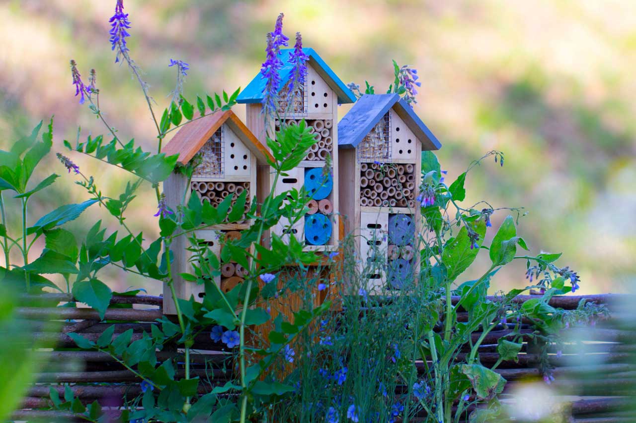 Insektenhotels bieten eine neue Heimat für allerlei Tiere.