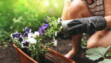 gartensaison