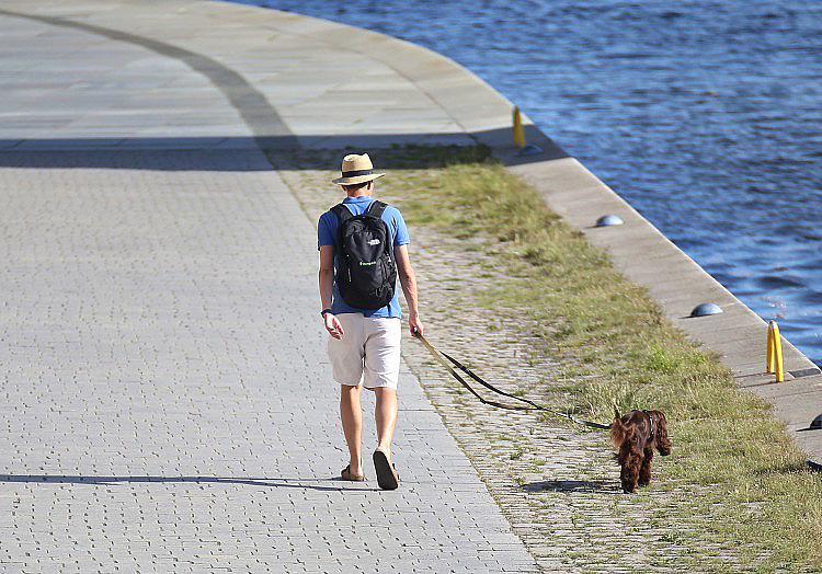 Der Juli 2026 hat in Deutschland ein deutliches Südwest-Nordost-Gefälle bei Temperatur, Niederschlag und Sonnenscheindauer gezeigt.