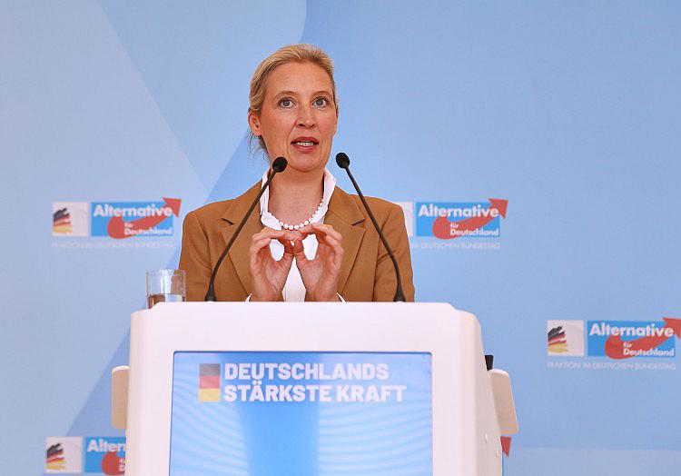 Die AfD spricht sich für die ersatzlose Streichung der Fünf-Prozent-Hürde bei Bundestags- und Landtagswahlen aus.