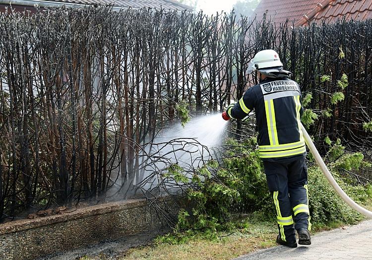 via dts Nachrichtenagentur
