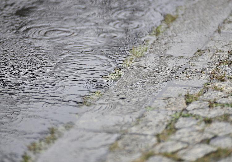 In Niedersachsen und Bremen wird am Sonntag wechselhaftes Wetter erwartet. Heute ist es im Süden der Region zunächst noch aufgelockert und trocken, sonst überwiegen dichte Wolken mit Regenfällen.