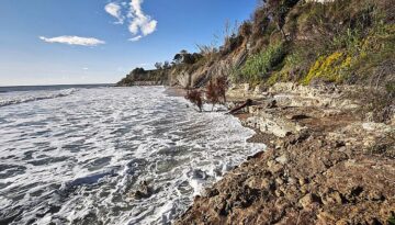 dts_image_115065_eejhoskjff_03440_750_524