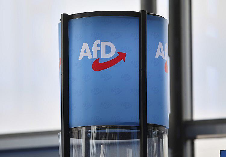 Die Hauptgeschäftsführerin des Industrieverbandes Nordostchemie, Nora Schmidt-Kesseler, hat vor einem wirtschaftlichen Abschwung gewarnt, falls die AfD nach den Wahlen in Ostdeutschland an die Macht kommt.