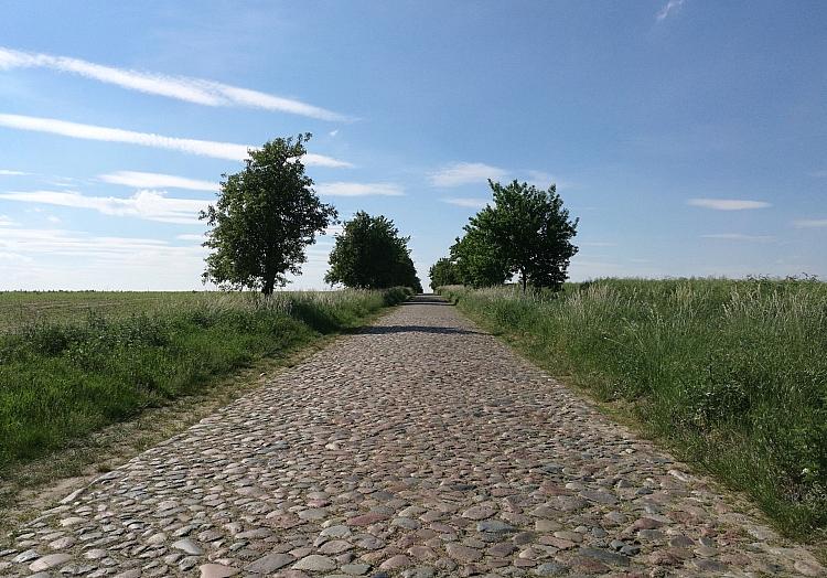 Der Deutsche Wetterdienst erwartet für Niedersachsen und Bremen heute zunächst freundliches und trockenes Wetter.