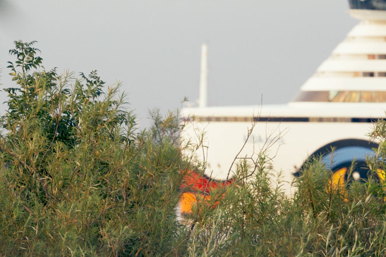 Natur und Industrie auf engem Raum: Strange Neighbors mach den Kontrast deutlich.