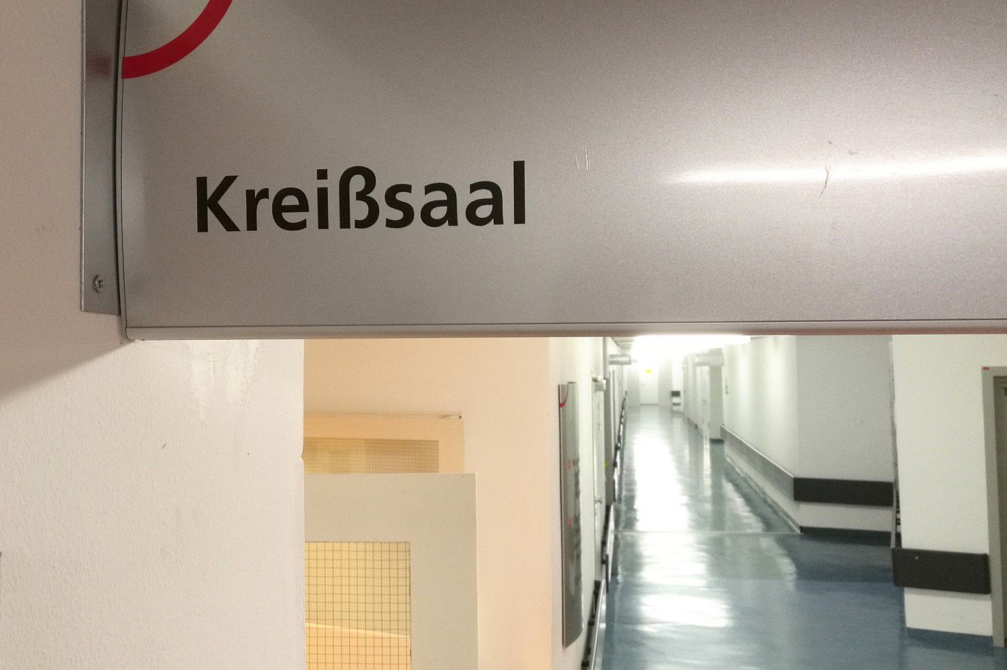 Brosius-Gersdorf für Legalisierung von Eizellspenden