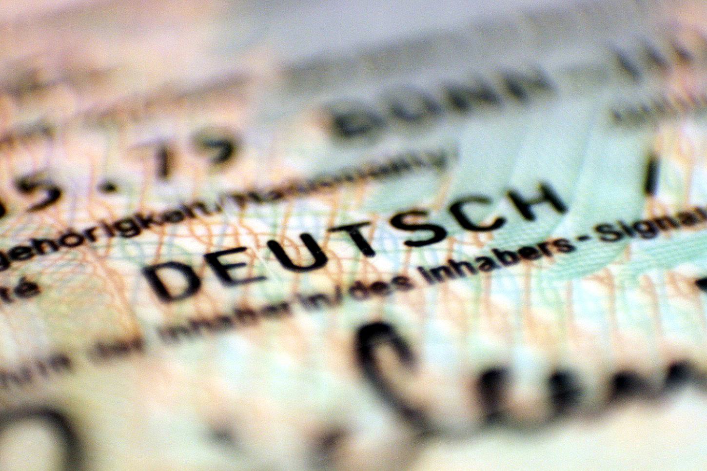 Papier beklagt Lücke im Grundgesetz bei Einbürgerungen