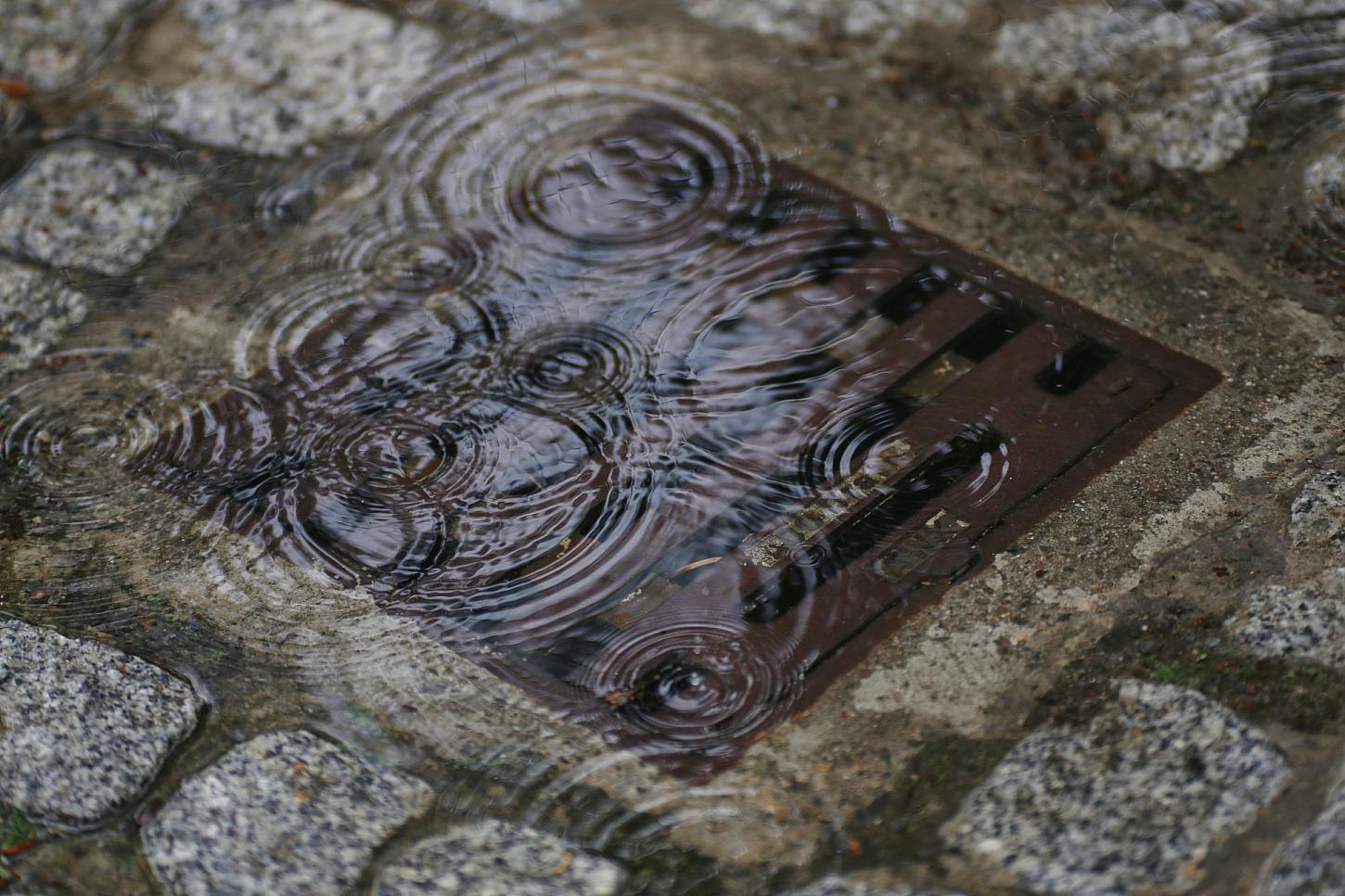 Wetterbericht für Niedersachsen/Bremen (03.09.2026)