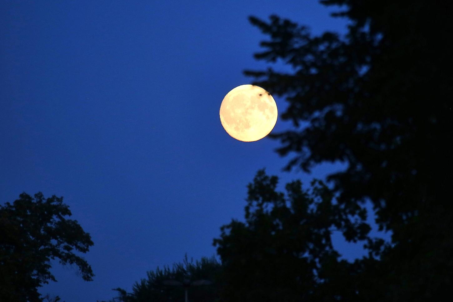 Wolfsburg schaltet zur Earth Night Fassadenbeleuchtung ab