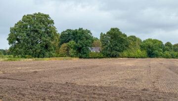 esskamp-baugebiet