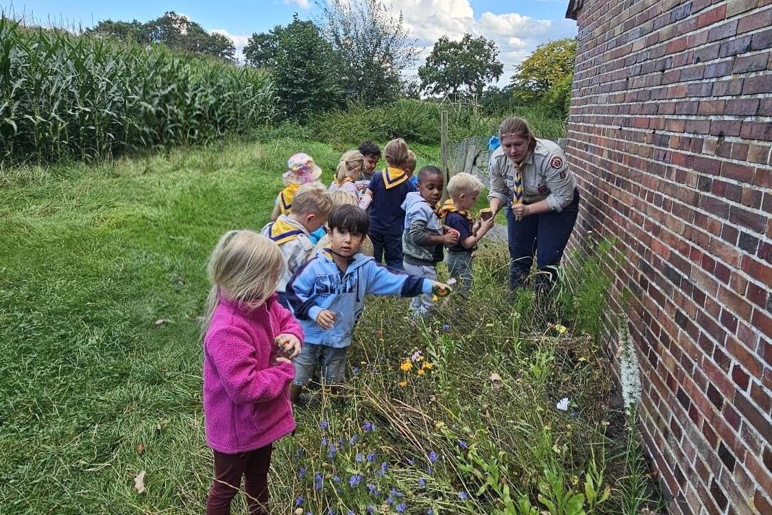 Gemeinnützige Vereine können sich für den EWE-Klimawettbewerb bewerben. 