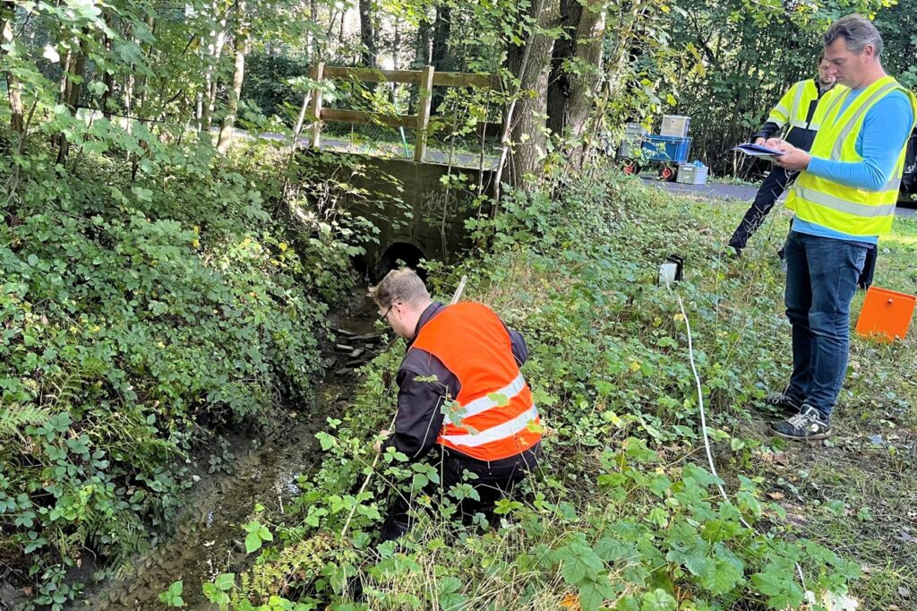 Stadt prüft PAK-Befunde in der Flugplatzbäke
