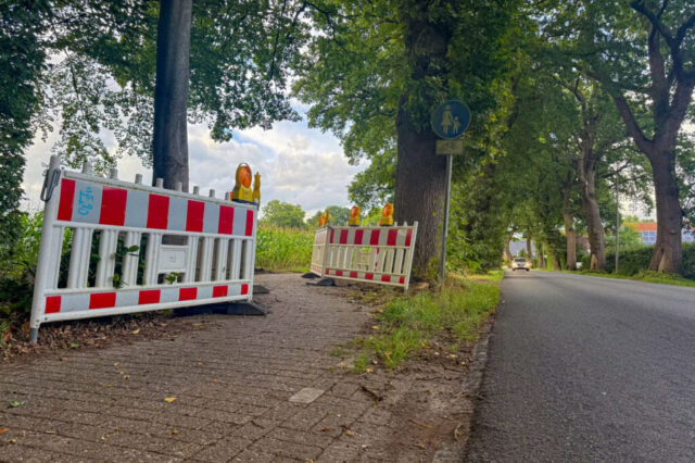 radweg-butjadinger-strasse