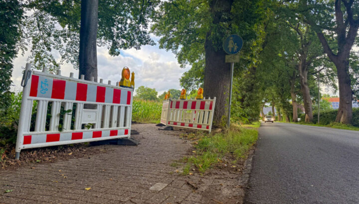radweg-butjadinger-strasse