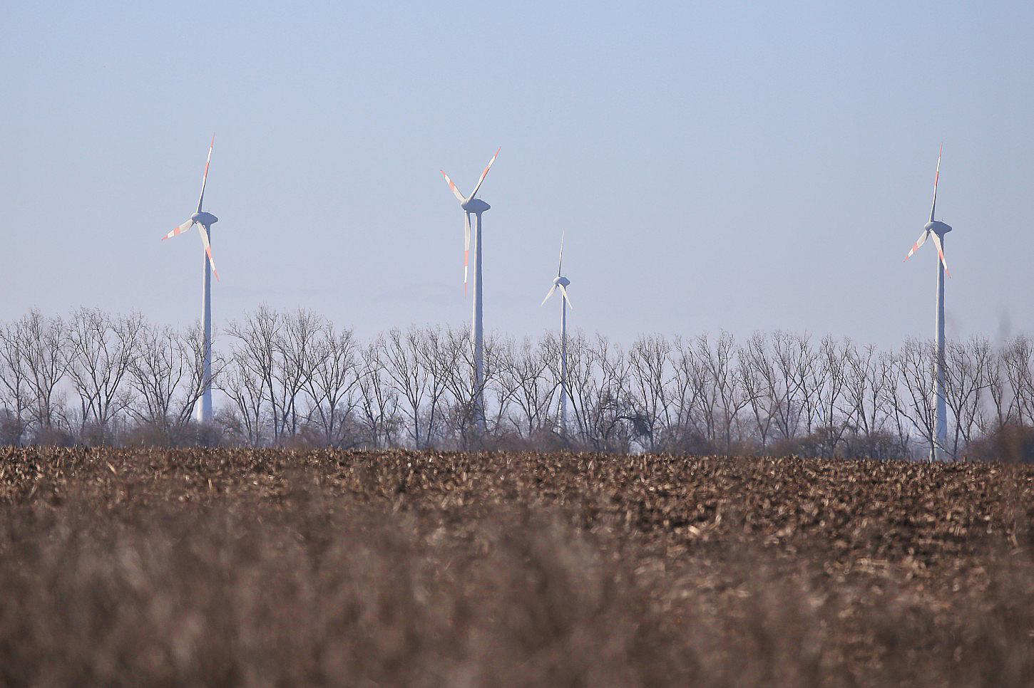 Studie: Gedeckelte Windkraft-Pachten könnten um Milliarden entlasten