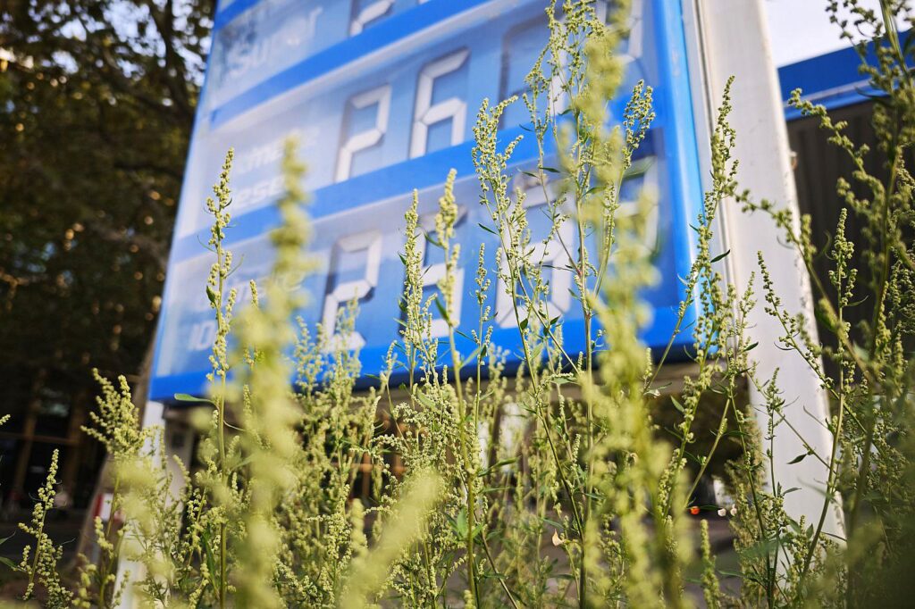 Ifo: Ölkonzerne geben Tankrabatt bislang nur teilweise weiter