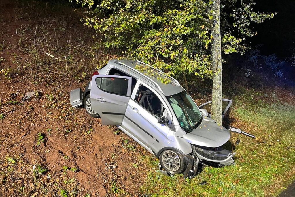 Baumunfall in Bad Salzdetfurth fordert eine schwer verletzte Person