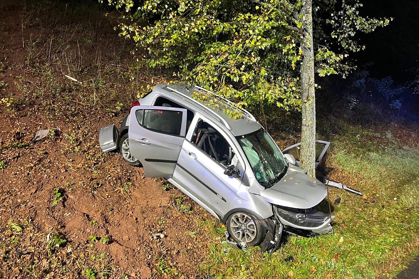 Baumunfall in Bad Salzdetfurth fordert eine schwer verletzte Person