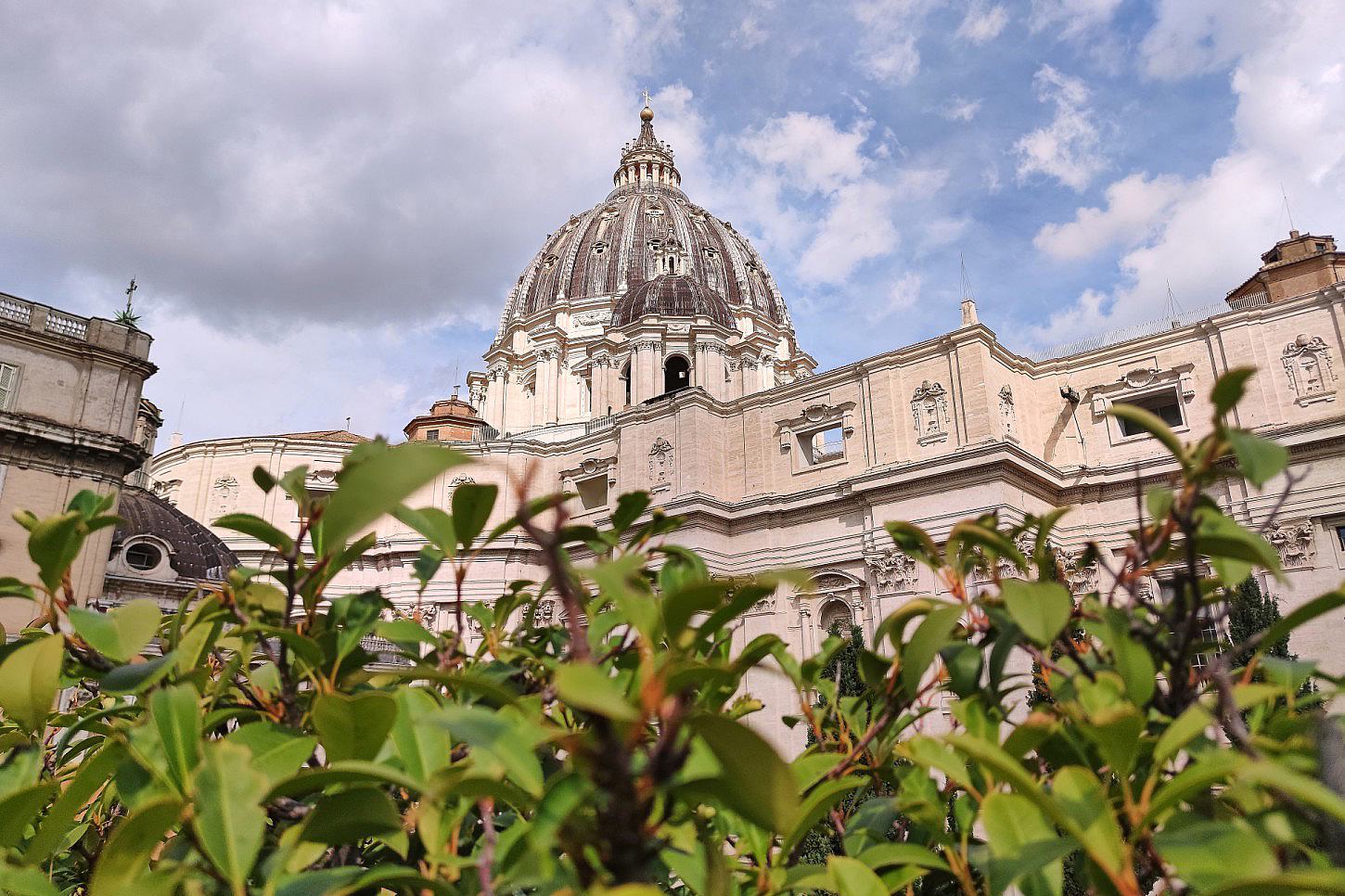 Papst erfolgreich an Lunge operiert